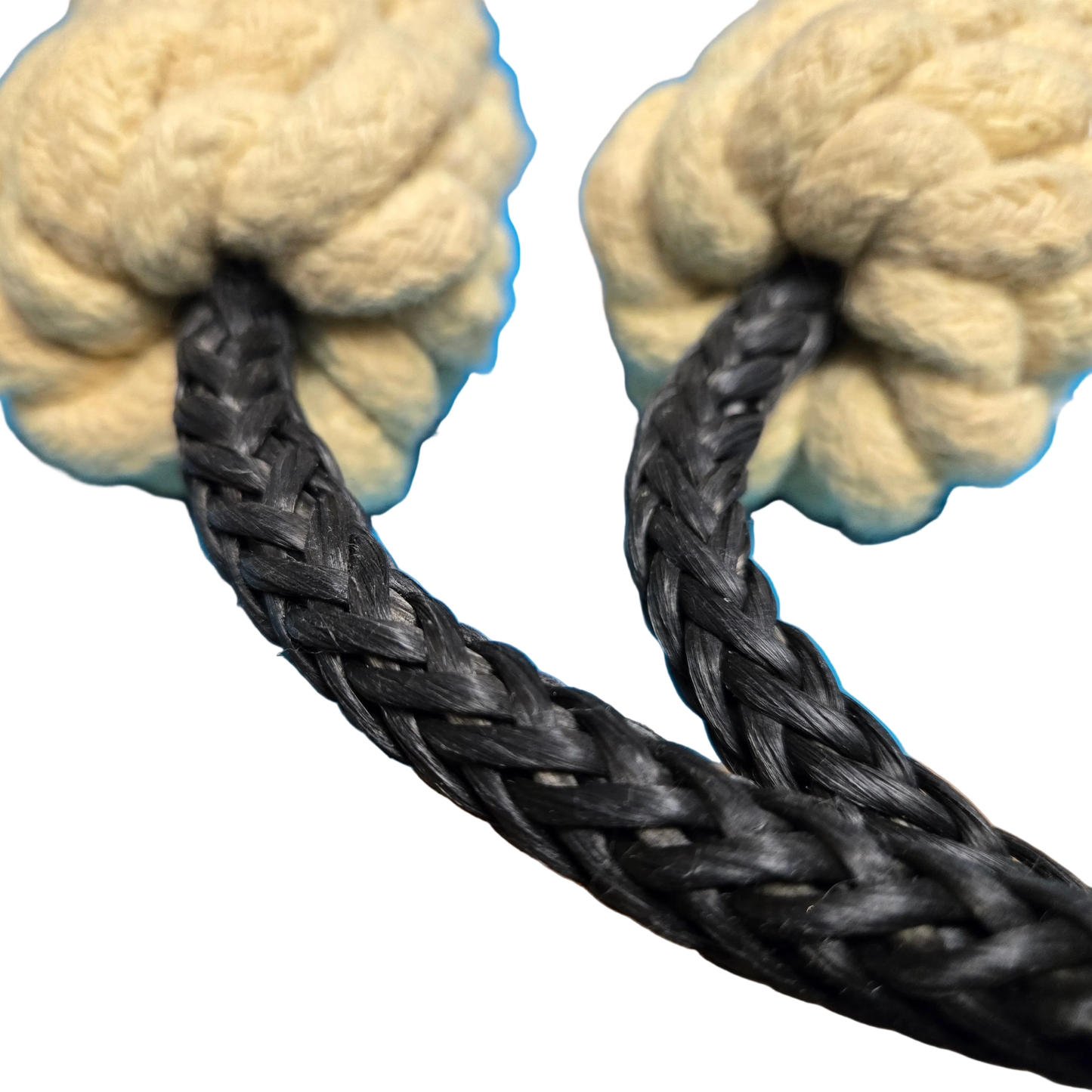 Crown Sinnet Poi